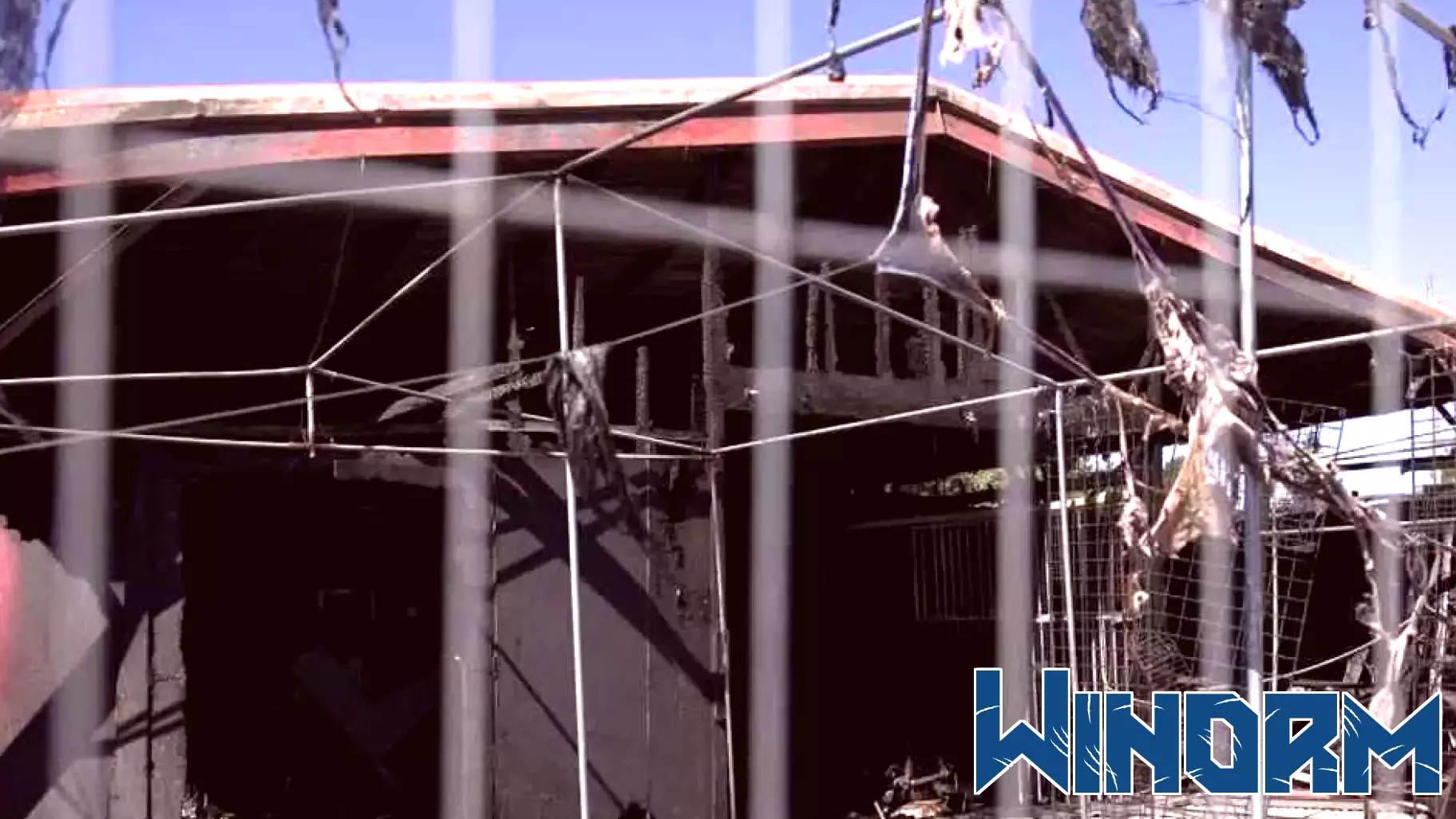 Fire destroys 20,000-game collection built over 43 years in Sacramento