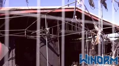 Fire destroys 20,000-game collection built over 43 years in Sacramento