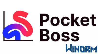 Pocket Boss: Transforming Corporate Data into an Engaging Puzzle Experience